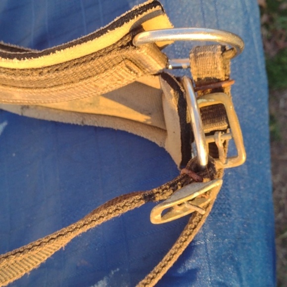 Equestrian Strap - Picture 2 of 3